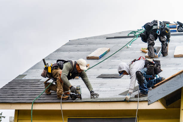 Professional Roof Inspection technician working in Flagtown, NJ